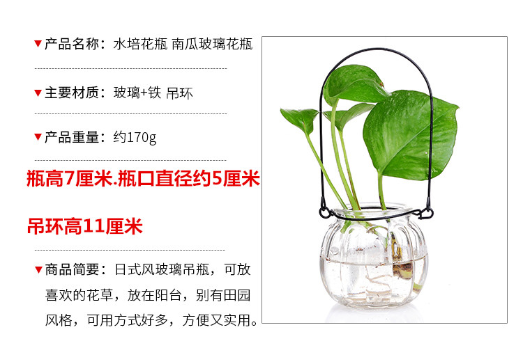 Lục lạp thủy tinh chai thủy tinh bí ngô treo chai thủy tinh nhỏ chai thủy canh cây treo chai phong lan đơn giản treo bình nhỏ - Vase / Bồn hoa & Kệ chậu sứ trồng cây cỡ lớn