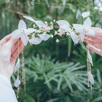 Hanfu headdress a set of ancient style full set of Ming-made Hanfu head Crown tassel step shake fairy Air top hairpin hairpin hairpin hair accessories