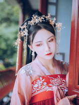 Hanfu headdress a set of ancient style full set of Ming-made Hanfu head Crown tassel step shake fairy Air top hairpin hairpin hairpin hair accessories