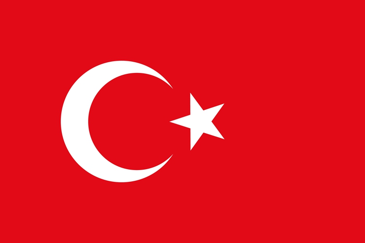 Turkish flag face sticker waterproof adhesive flag sticker arm stickers for cheerleader fans stickers 5 * 3cm