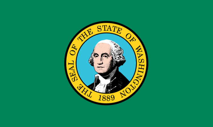 Customize the US State Flag 90 x 150 CM 3 * 5FT Washington State Flag