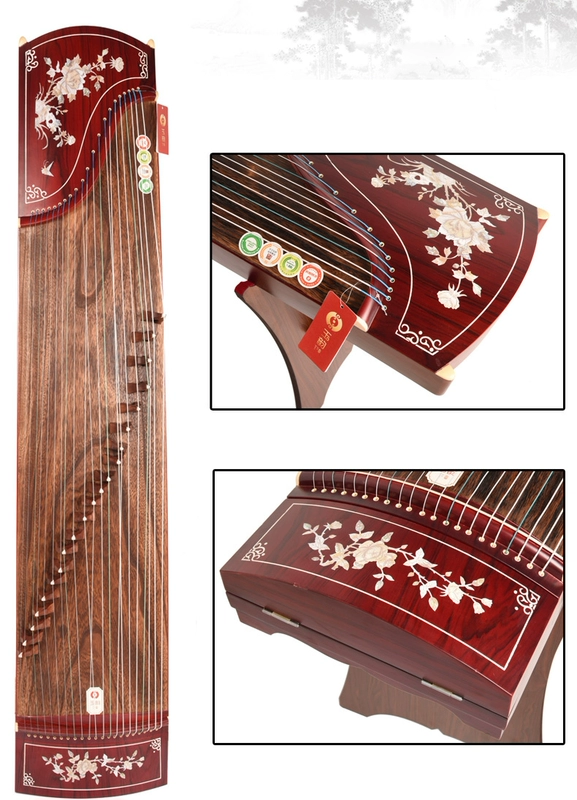 Guzheng người mới bắt đầu nhập gỗ đàn piano hoặc người lớn chuyên nghiệp chơi trẻ em tự học giảng dạy chấm điểm nhạc cụ guzheng - Nhạc cụ dân tộc