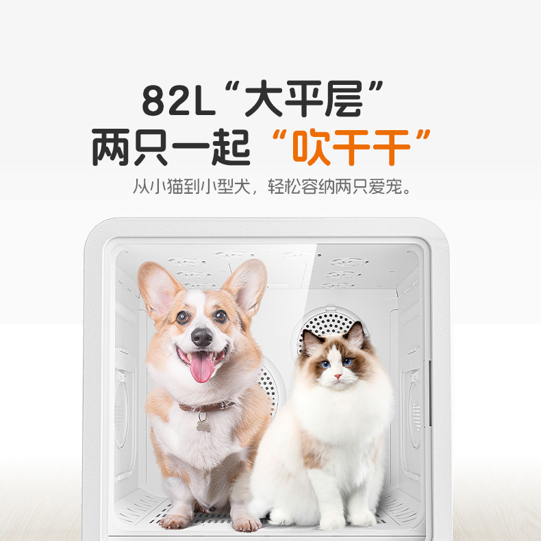 霍曼烘干机：柯基专属洗澡后干爽小卫士