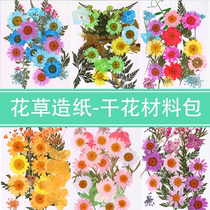 Embossed Diy ancient Fausostomy dry flower Material sticker face Write Genuine Pledge Flower Bookmarked Drip Glue Mobile Phone Shell Plant Specimen