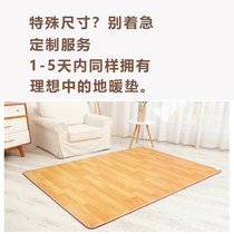 Warm central Graphene floor heating pad custom size special shot link