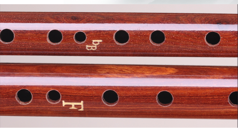 Vân Nam đôi ống Bawu F giai điệu + thả B giai điệu G + C 竹 Redwood chơi loại nhạc cụ thổi chéo sinh viên - Nhạc cụ dân tộc đàn tỳ bà
