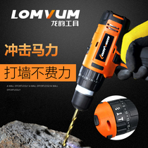 Longyun electric drill Impact drill Rechargeable flashlight drill Household electric screwdriver two-speed pistol drill Multi-function tool