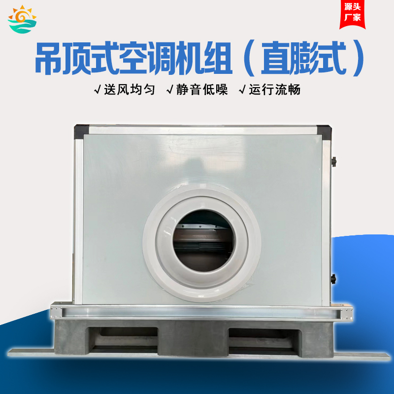 Fluorine System Ceiling-Type Shooting Air Conditioning Unit Direct Leavening Air Conditioning Unit Air Supply Fresh Air Processing Unit