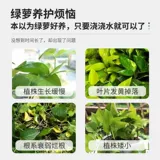 Зеленая линия питания зеленого луко