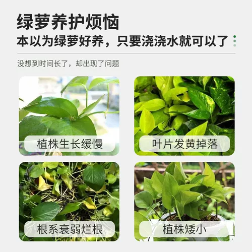 Зеленая линия питания зеленого луко