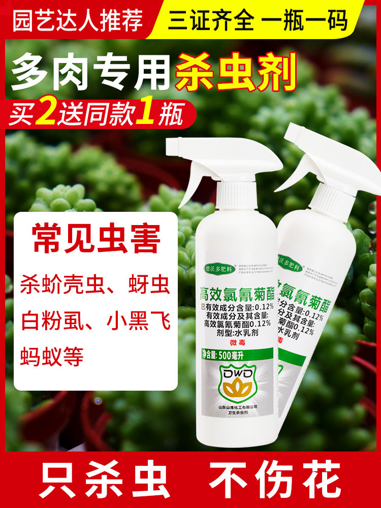 Succulent insecticide Special medicine for scale insects Flowers and plants Small white insects Flying insects Aphids Scale spirits Household insecticides