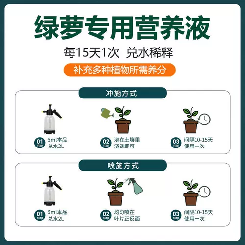 Зеленая линия питания зеленого луко