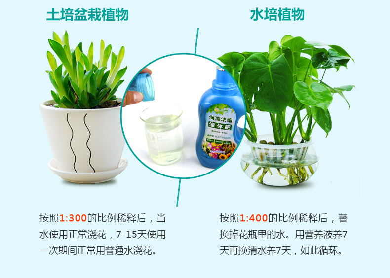 德沃多肥料 植物营养液500ml*2瓶 图3