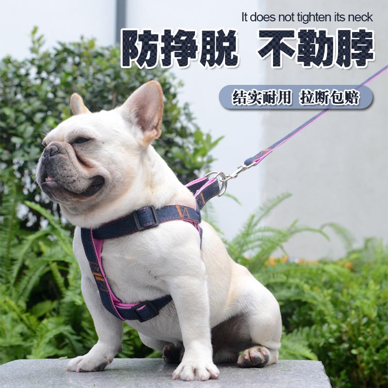 Walking Dog Traction Rope Chest of Breast Pocket Vest Style Dog Teddy Young Dog Small Medium Dog Pet Item Ring Kitty Rope Supplies