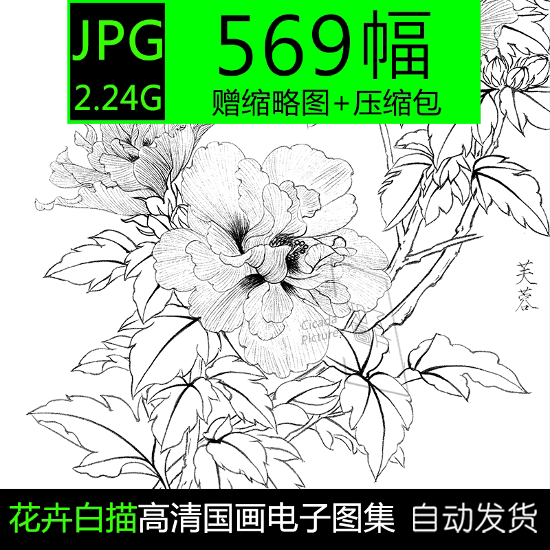 Work Stroke Flowers Flowers Birds White Sketch Manuscript Country Painting High Definition Photo Electronic Material Line Sketch Exercise Manuscript