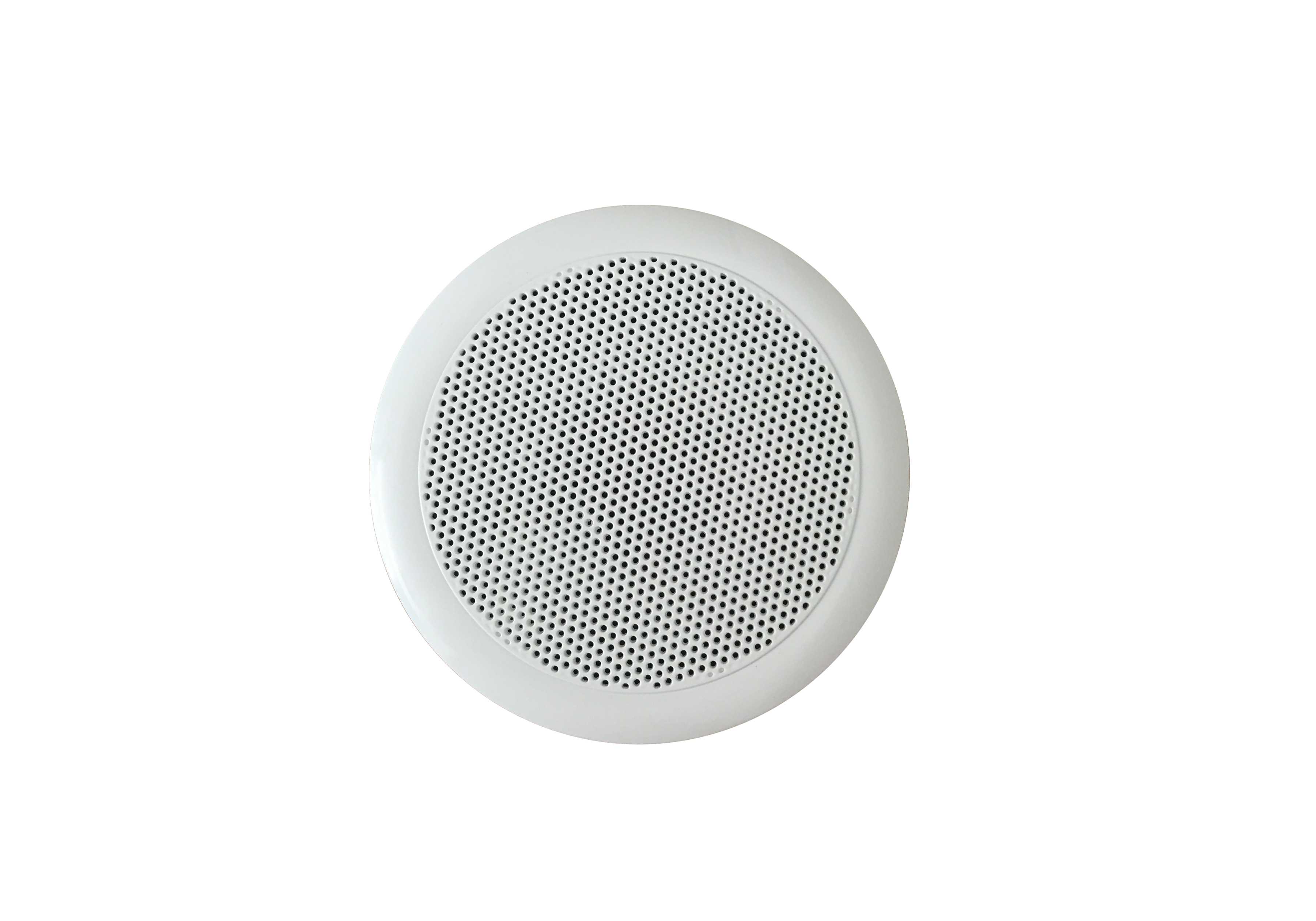 Ceiling Radio 3W 6W General Purpose