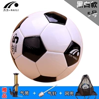 № 5 Черно -белая модель (за исключением мешков для шариков) (пробивая цилиндр+воздушная игла+сетевая карман)