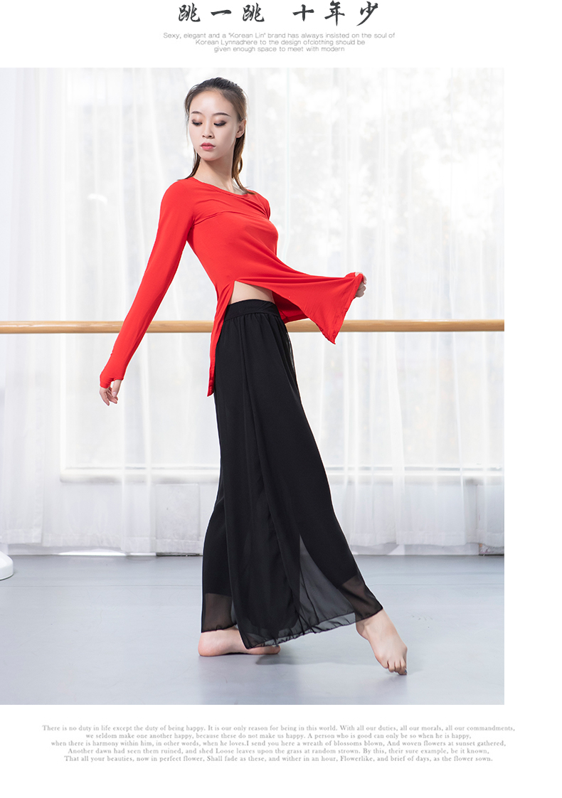 Mười năm ít nhảy quần áo nữ thực hành quần áo khiêu vũ cổ điển trang phục nhảy hiện đại quần áo hình dạng cơ thể phù hợp với quần lỏng - Khiêu vũ / Thể dục nhịp điệu / Thể dục dụng cụ giày nhảy dance