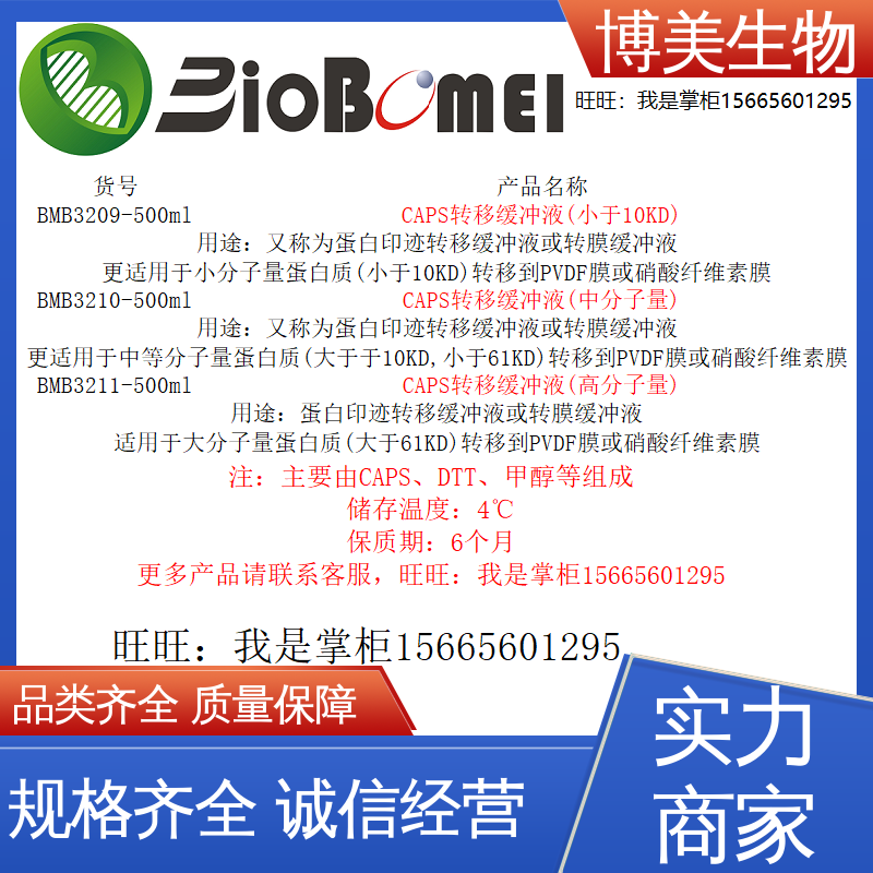 电子发票CAPS转移缓冲液高 中 小分子量生物实验试剂蛋白印迹转移