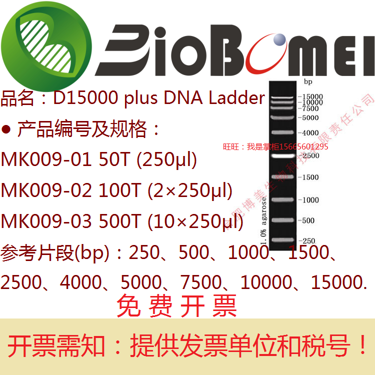 合肥博美生物D15000 plus DNA Ladder电泳实验10条双链Marker含票