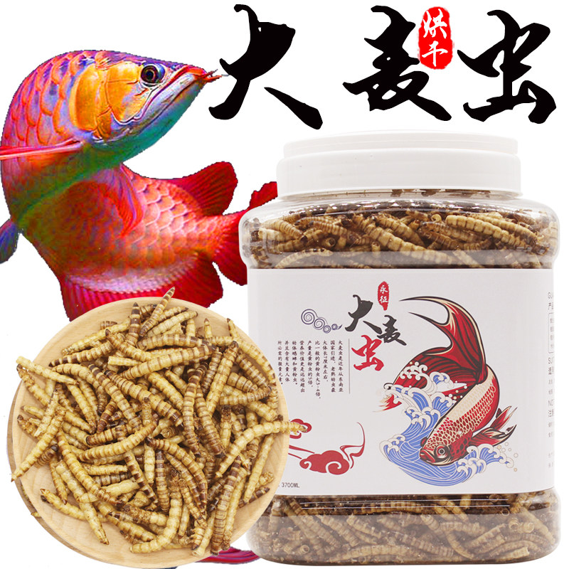 Dragon fish feed gold dragon fish silver dragon fish feed floating type fish food barley worm bread worm dry goldfish feed turtle food-Taobao