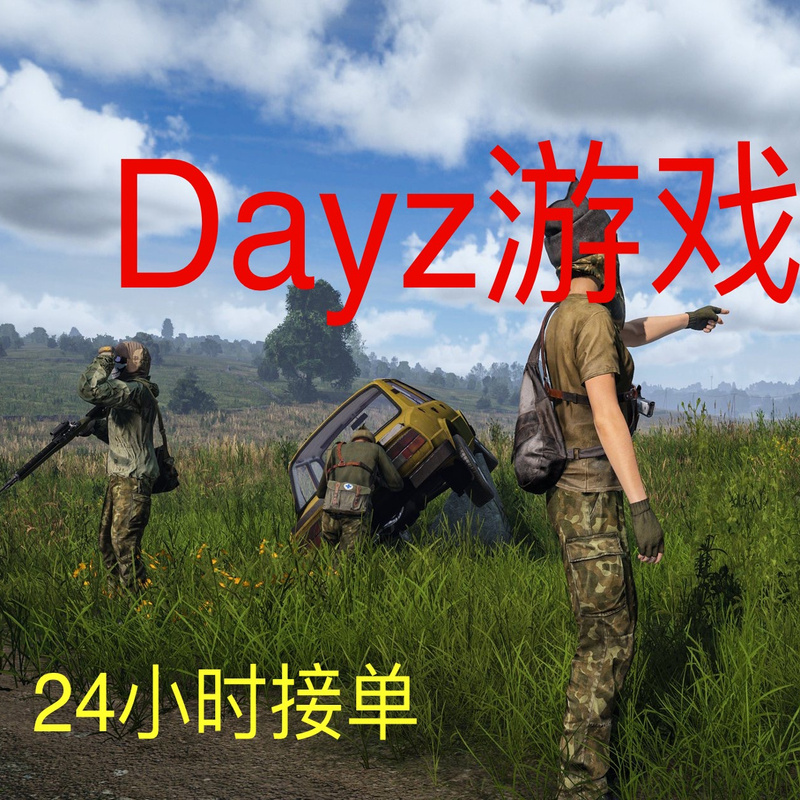 Dayz Companion Play/Boosting Service/Map to Find Team Mates/Time Starts Counting When Meeting in Game/8000 Hours of Gameplay