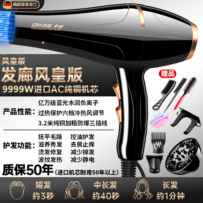 Hair Salon Hair Dryer High Power 3000W, Barber Shop Special 9000W, Household 5000W, Negative Ion Industrial Strong Wind