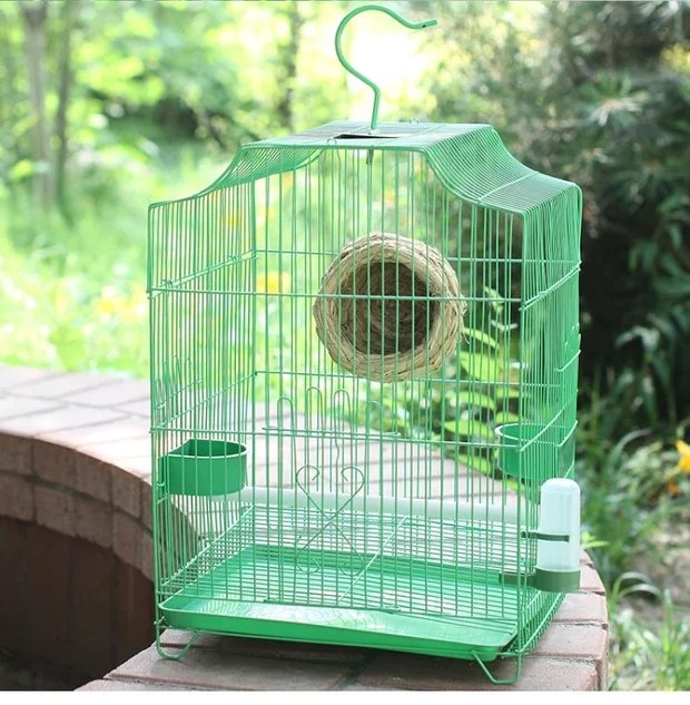 Nguồn cung cấp chim / máy nạp chim tự động / máy cấp nước / máy uống nước chim / ấm nước bể chim lồng chim thiết bị chim - Chim & Chăm sóc chim Supplies lồng trần cu gáy
