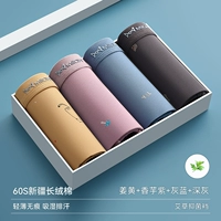 [2023 Обновленная группа F] 60S Синьцзян Хлопок + 5A антибактериальная промежность