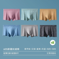 [2023 Модели обновления 6 установок] 60S Синьцзян Хлопок+5A Бактериостатическая промежность