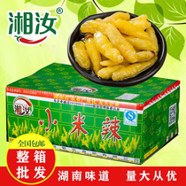 Xiang Rui Pepper Millet Spicy Commercial Wild Mountain Pepper Fresh Bubble Ginger Pineal Claw Fields Chicken Seasoning to Pepper Big Packaging Whole Box