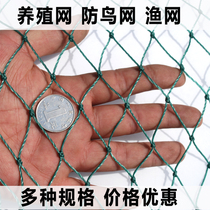 Chicken fence net Chicken net plastic mesh Breeding net fence climbing rattan net Anti-bird net Safety protection net