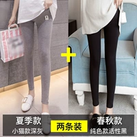 Летний котенок темно -серый+весна и осень чистого цвета активность черный