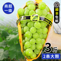 Sunshine Rose Grape 3 Jin Seasonal Fresh Sunny King Grape Seedless Grape Fragrant Green Fruit Whole Box