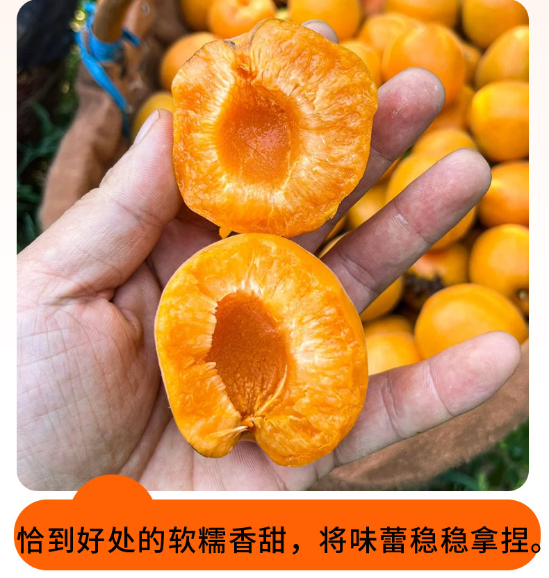 O1CN013mEalX1XuiuiX5Iqy_!!2926862984.jpg