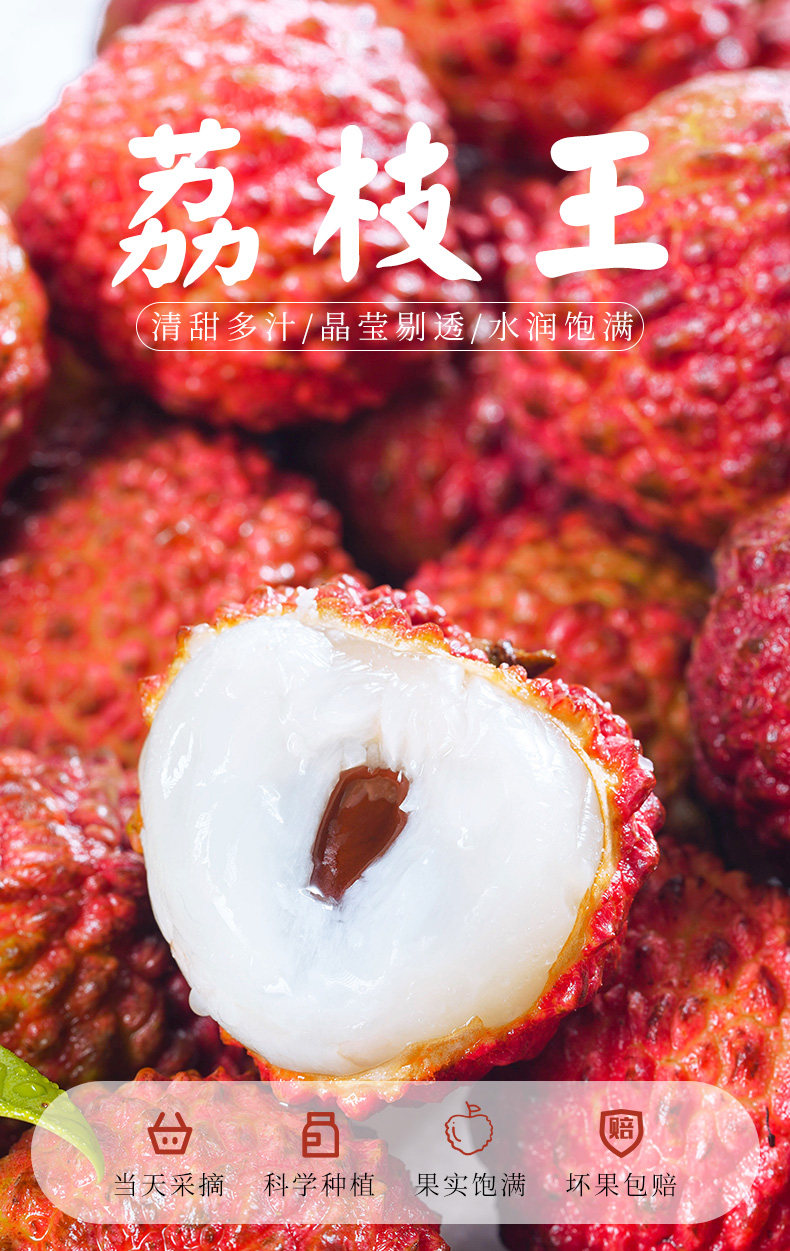 O1CN01DbyO831XuizywHOjJ_!!2926862984.jpg