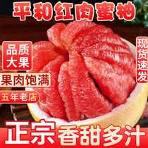 Fujian Pinghe red heart grapefruit 9kg big fruit red meat honey pomelo fresh sweet pomelo pregnant woman fruit Guanxi whole box