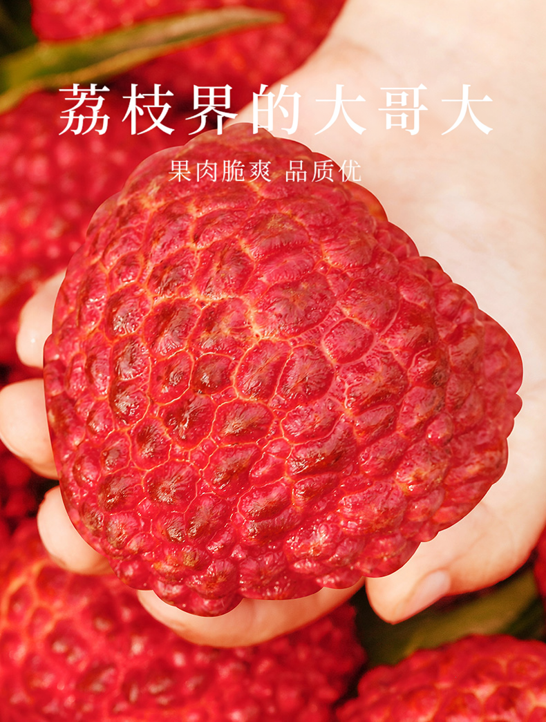 O1CN01qtLkil1Xuj001ZdQf_!!2926862984.png