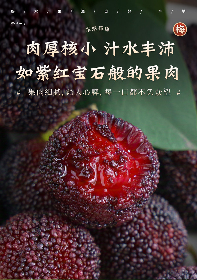 O1CN01vtpxOU1Xuj0BO21db_!!2926862984.jpg