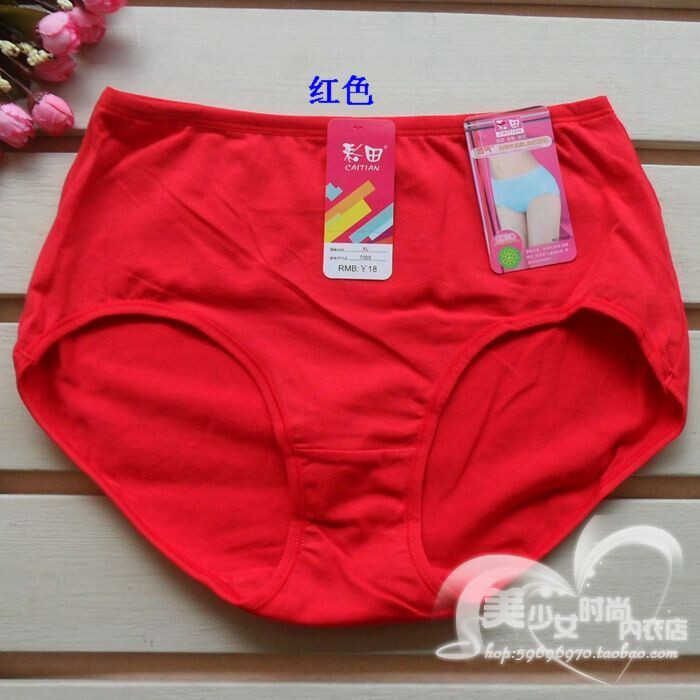 Slip en coton - Ref 642992 Image 18