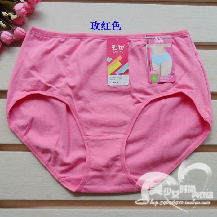 Slip en coton - Ref 642992 Image 17