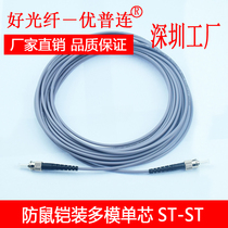 Youpu anti-rodent optical fiber jumper armored multi-mode single core ST-ST 3 meters 5 meters 10 meters 20 meters 50 meters armored pigtail