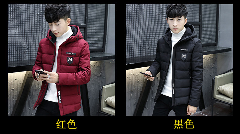 Blouson chaud pour homme en Polyester - Ref 3113117 Image 13