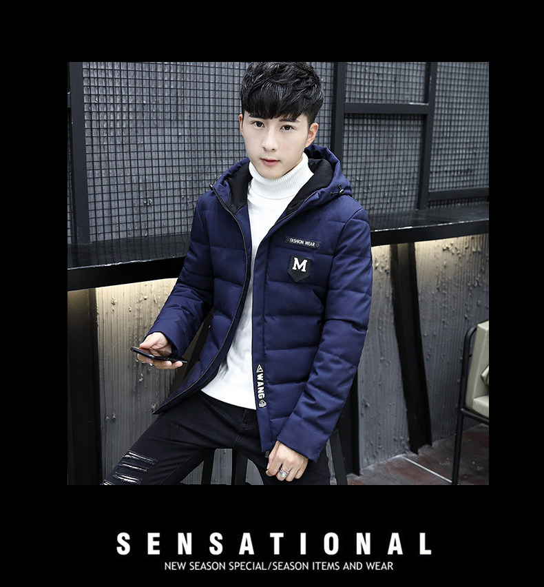 Blouson chaud pour homme en Polyester - Ref 3113117 Image 27