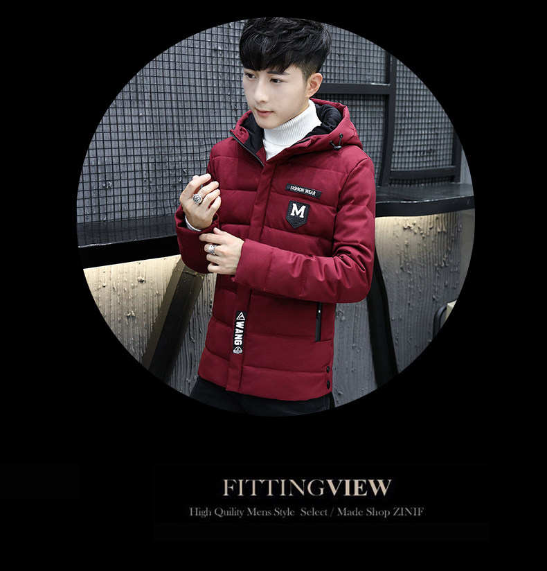 Blouson chaud pour homme en Polyester - Ref 3113117 Image 37