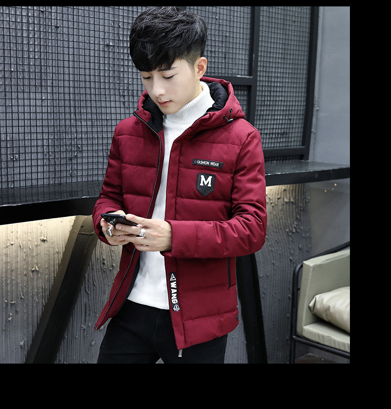 Blouson chaud pour homme en Polyester - Ref 3113117 Image 34