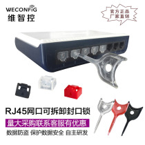 Manufacturer direct marketing ViChile control RJ45 detachable port plug computer anti-dust plug port Secure plug port security lock