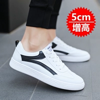 CK004 White Black (добавление высоты)