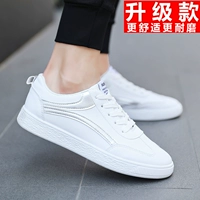 CK004 Silver (модель обновления)