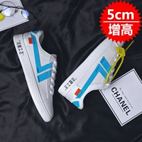 CK006 White Blue (добавление высоты)